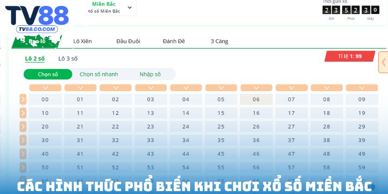 Các hình thức phổ biến khi chơi trực tuyến